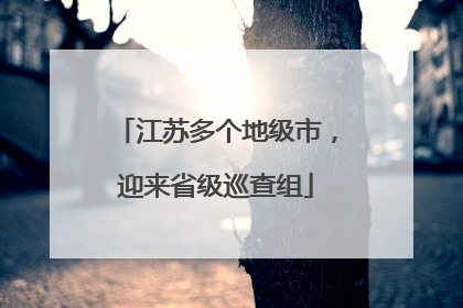 江苏多个地级市，迎来省级巡查组