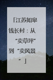 江苏如皋钱长村：从“卖草坪”到“卖风景”