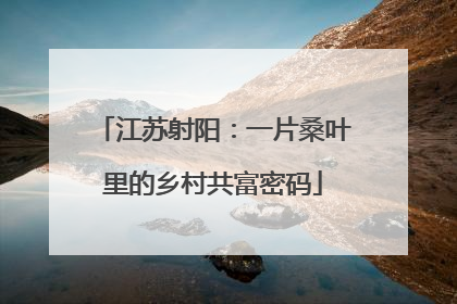江苏射阳：一片桑叶里的乡村共富密码