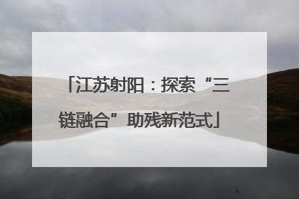 江苏射阳：探索“三链融合”助残新范式