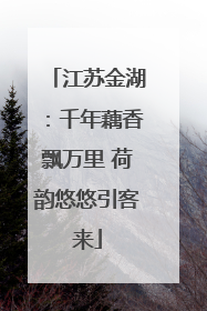 江苏金湖：千年藕香飘万里 荷韵悠悠引客来