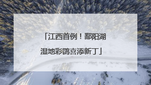 江西首例！鄱阳湖湿地彩鹮喜添新丁