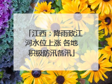 江西：降雨致江河水位上涨 各地积极防汛备汛