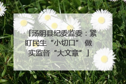 汤阴县纪委监委：紧盯民生“小切口” 做实监督“大文章”