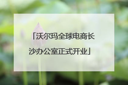 沃尔玛全球电商长沙办公室正式开业