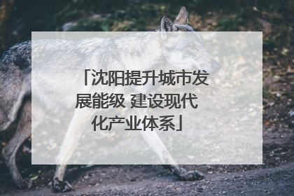 沈阳提升城市发展能级 建设现代化产业体系
