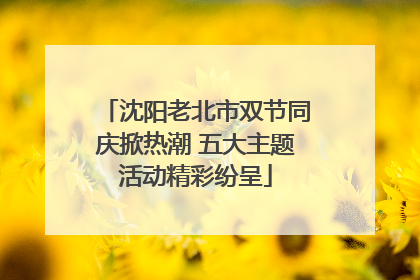 沈阳老北市双节同庆掀热潮 五大主题活动精彩纷呈