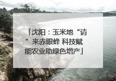 沈阳：玉米地“请”来赤眼蜂 科技赋能农业助绿色增产
