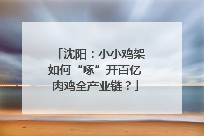 沈阳：小小鸡架如何“啄”开百亿肉鸡全产业链？