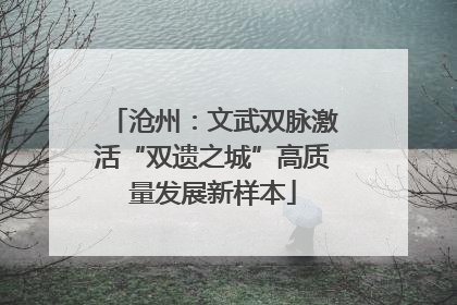 沧州：文武双脉激活“双遗之城”高质量发展新样本