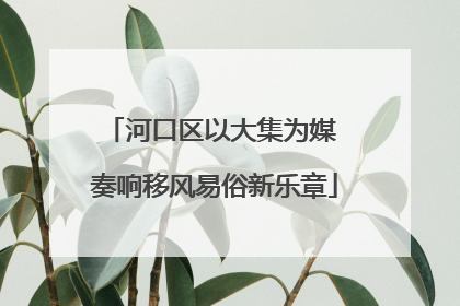 河口区以大集为媒 奏响移风易俗新乐章