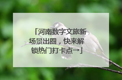 河南数字文旅新场景出圈，快来解锁热门打卡点→