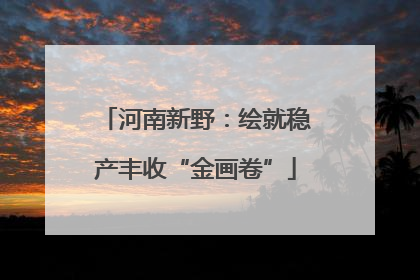 河南新野：绘就稳产丰收“金画卷”