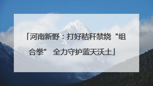 河南新野：打好秸秆禁烧“组合拳” 全力守护蓝天沃土
