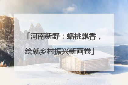 河南新野：蟠桃飘香，绘就乡村振兴新画卷