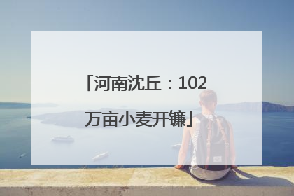 河南沈丘：102 万亩小麦开镰