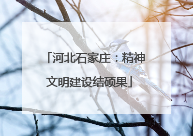 河北石家庄：精神文明建设结硕果