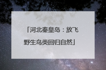 河北秦皇岛：放飞野生鸟类回归自然