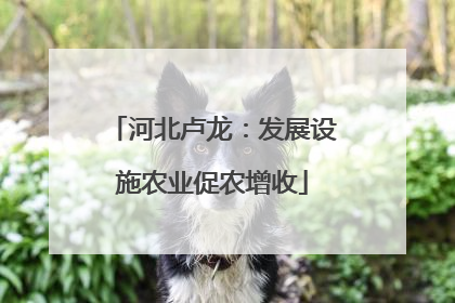 河北卢龙：发展设施农业促农增收