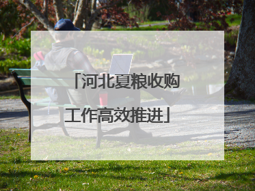 河北夏粮收购工作高效推进
