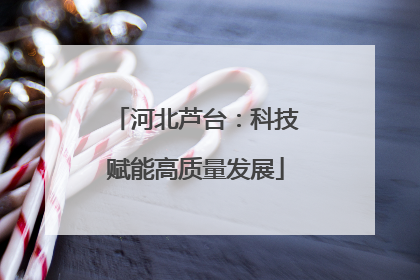 河北芦台：科技赋能高质量发展