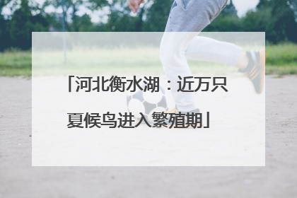 河北衡水湖：近万只夏候鸟进入繁殖期