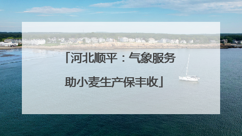 河北顺平：气象服务助小麦生产保丰收
