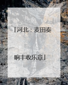 河北：麦田奏响丰收乐章