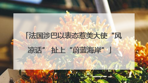 法国涉巴以表态惹美大使“风凉话” 扯上“蔚蓝海岸”