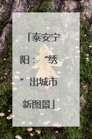 泰安宁阳：“绣”出城市新图景