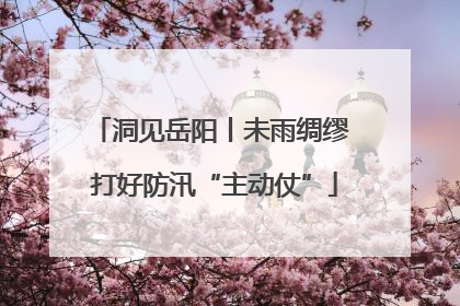 洞见岳阳丨未雨绸缪 打好防汛“主动仗”