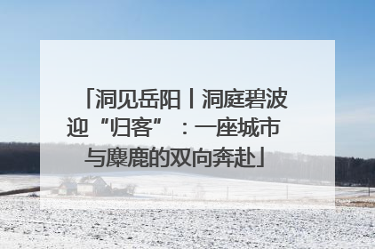 洞见岳阳丨洞庭碧波迎“归客”：一座城市与麋鹿的双向奔赴