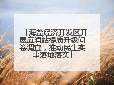 海盐经济开发区开展应消站提质升级问卷调查，推动民生实事落地落实