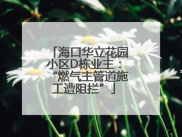 海口华立花园小区D栋业主：“燃气主管道施工遭阻拦”