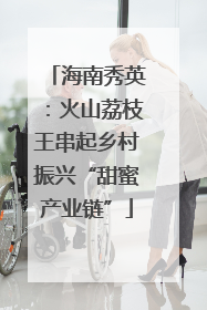 海南秀英：火山荔枝王串起乡村振兴“甜蜜产业链”