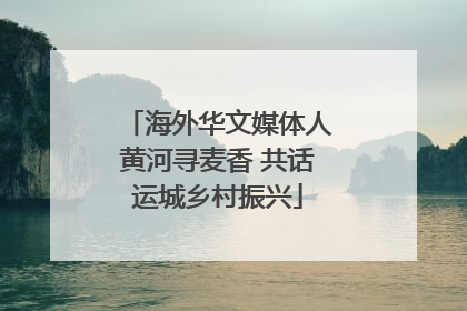 海外华文媒体人黄河寻麦香 共话运城乡村振兴