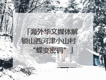 海外华文媒体解锁山西河津小山村“蝶变密码”