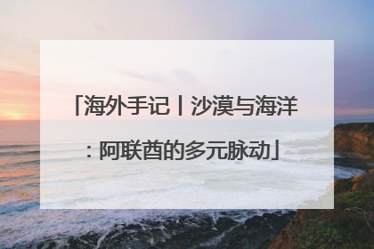 海外手记丨沙漠与海洋：阿联酋的多元脉动