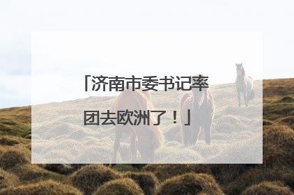 济南市委书记率团去欧洲了！
