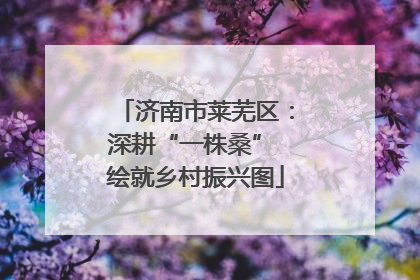 济南市莱芜区：深耕“一株桑” 绘就乡村振兴图