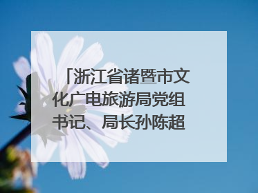 浙江省诸暨市文化广电旅游局党组书记、局长孙陈超：以“西施”IP激活全域旅游 打造县域文旅融合新标杆｜第七届全国县域旅游研究成果发布系列活动