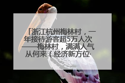 浙江杭州梅林村，一年接待游客超5万人次——梅林村，满满人气从何来（经济新方位·农村消费观察）