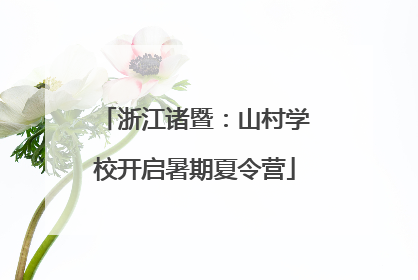 浙江诸暨：山村学校开启暑期夏令营