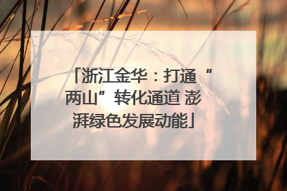 浙江金华：打通“两山”转化通道 澎湃绿色发展动能