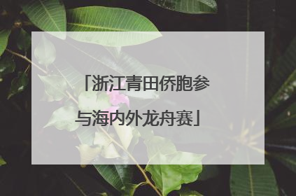 浙江青田侨胞参与海内外龙舟赛