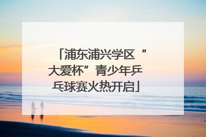 浦东浦兴学区“大爱杯”青少年乒乓球赛火热开启