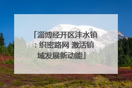 淄博经开区沣水镇：织密路网 激活镇域发展新动能