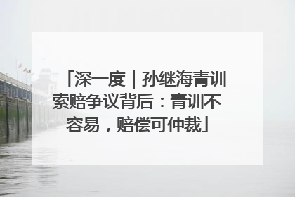 深一度｜孙继海青训索赔争议背后：青训不容易，赔偿可仲裁