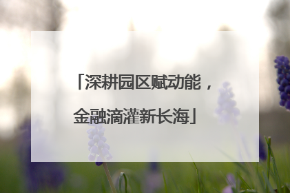 深耕园区赋动能，金融滴灌新长海
