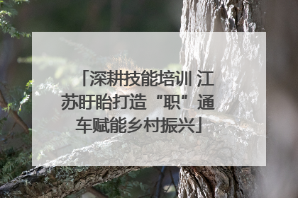 深耕技能培训 江苏盱眙打造“职”通车赋能乡村振兴